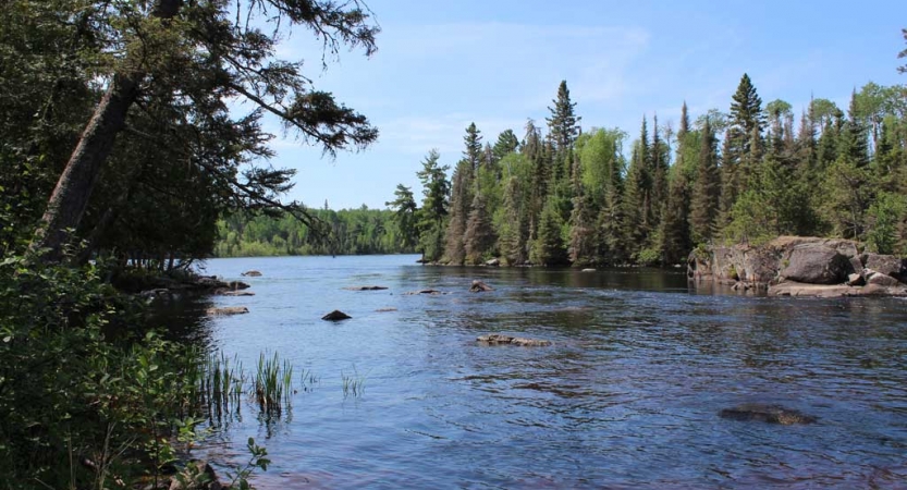 The waters of a blue, calm body of water are framed by rocky and tree-lined shores. 